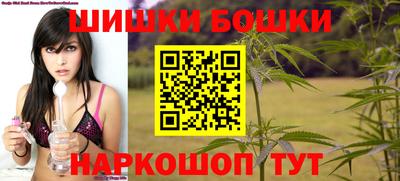 крисы Кунгур