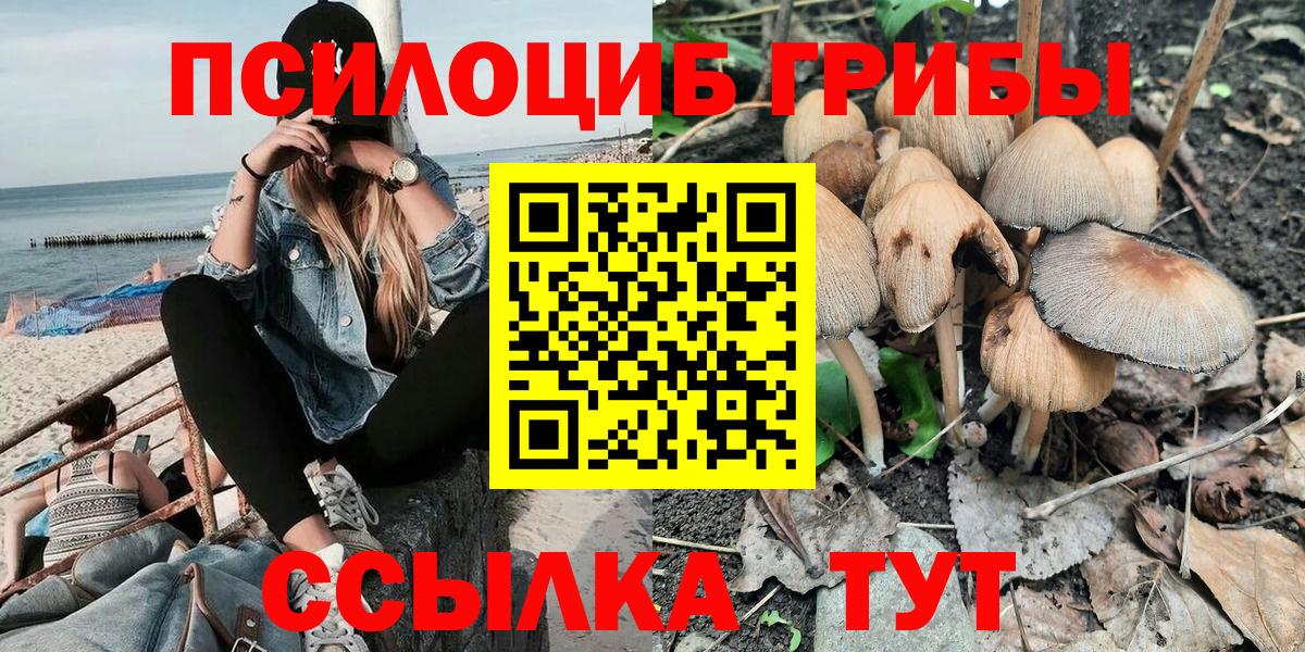 где можно купить   Галлюциногенные грибы Psilocybine cubensis  Вход с VPN  Кисловодск  Псилоцибиновые грибы Psilocybe 