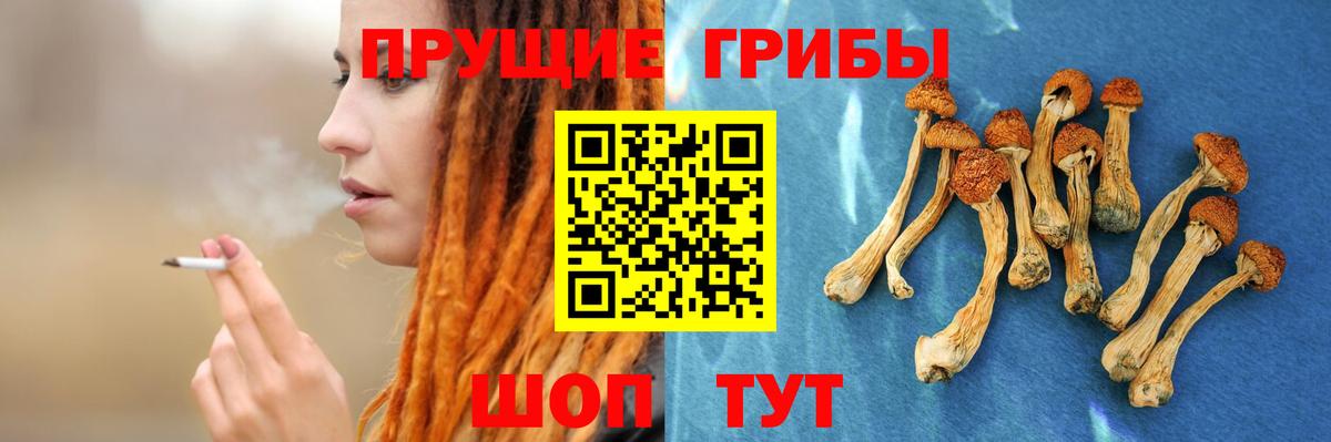 Псилоцибиновые грибы мухоморы Кисловодск